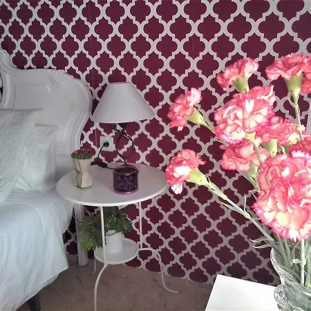Vintage Apartment Apartment Cordoba