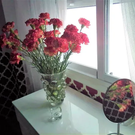 Vintage Apartment *