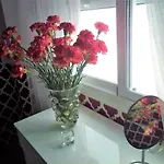 Vintage Vft0044 *