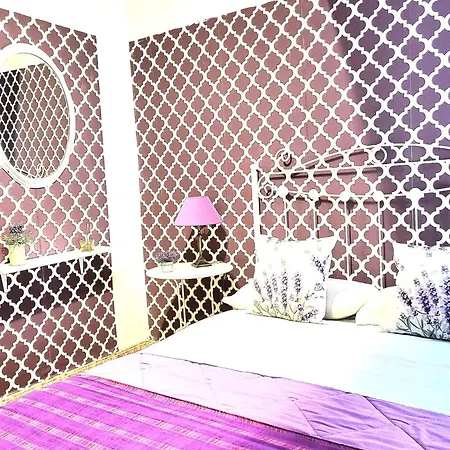 Vintage Apartment Vft0044 Apartment *